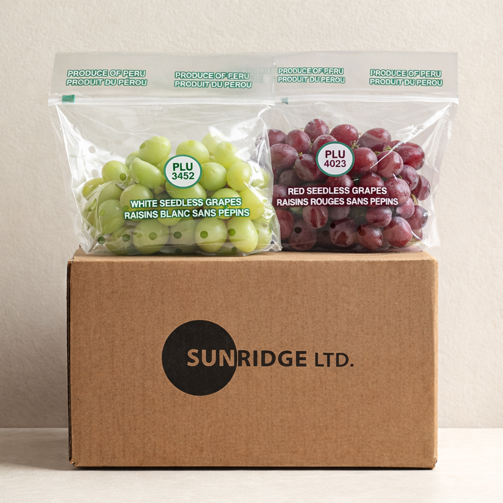 하루특가) 썬리지 청포도, 900g, 1개 + 적포도, 900g, 1개, 1세트