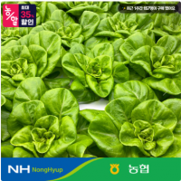 농협 샐러드용 채소 믹스 채소 3~4종 1kg 스마트팜 재배