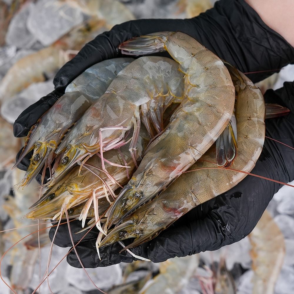 하루특가) 그대의밥상 국산 생물 흰다리새우, 38미 내외, 1kg, 1개