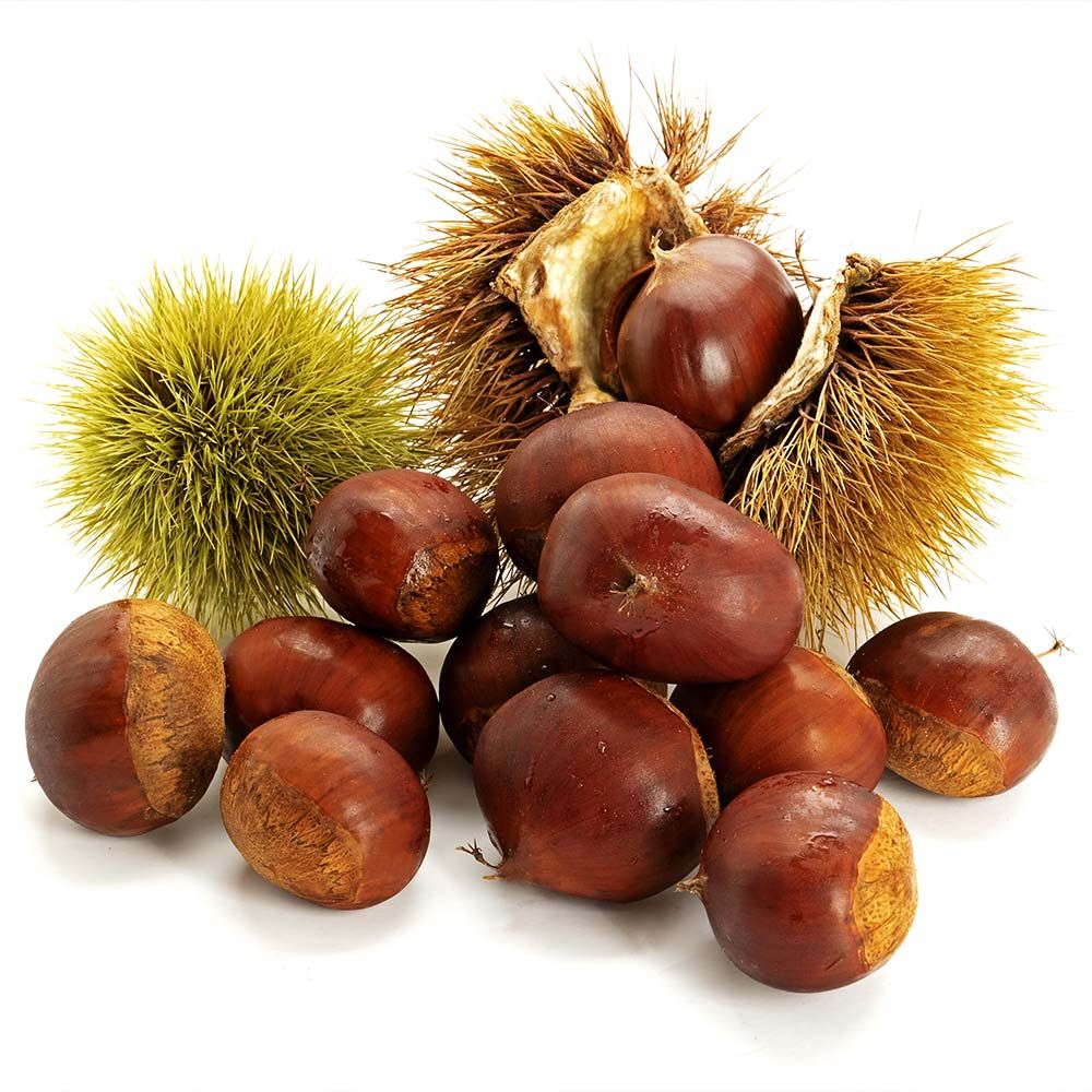 하루특가) 부여 햇 밤, 중크기, 2kg, 1개