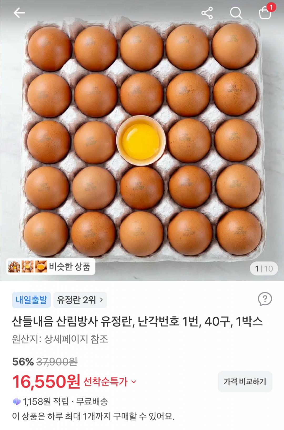 [토스] 산림방사 유정란 난각번호 1번 40구 (16,550원/무료)