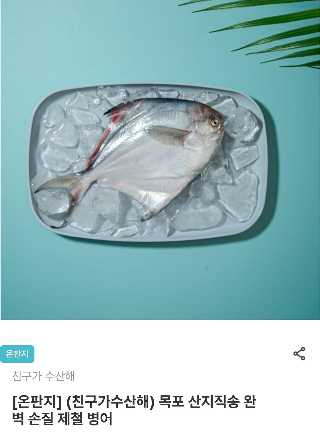 [남도장터] 목포 산지직송 완벽 손질 제철 병어 (25,130원~/무료)