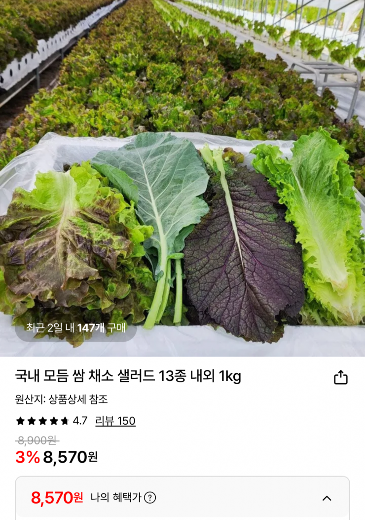 [롯데온] 국내 모듬 쌈 채소 샐러드 13종 내외 1kg (8,570원/무료)