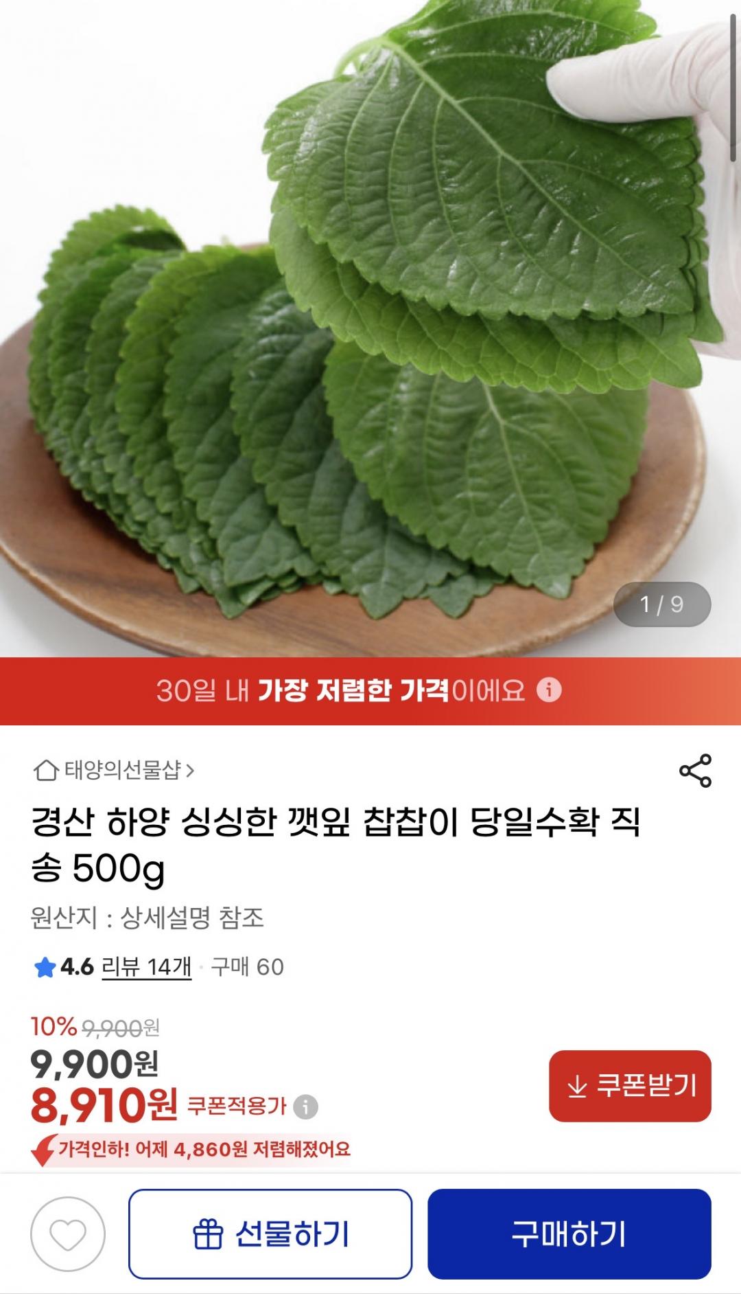 [지마켓] 경산 하양 깻잎 당일수확 직송 500g (8,910원/무배)