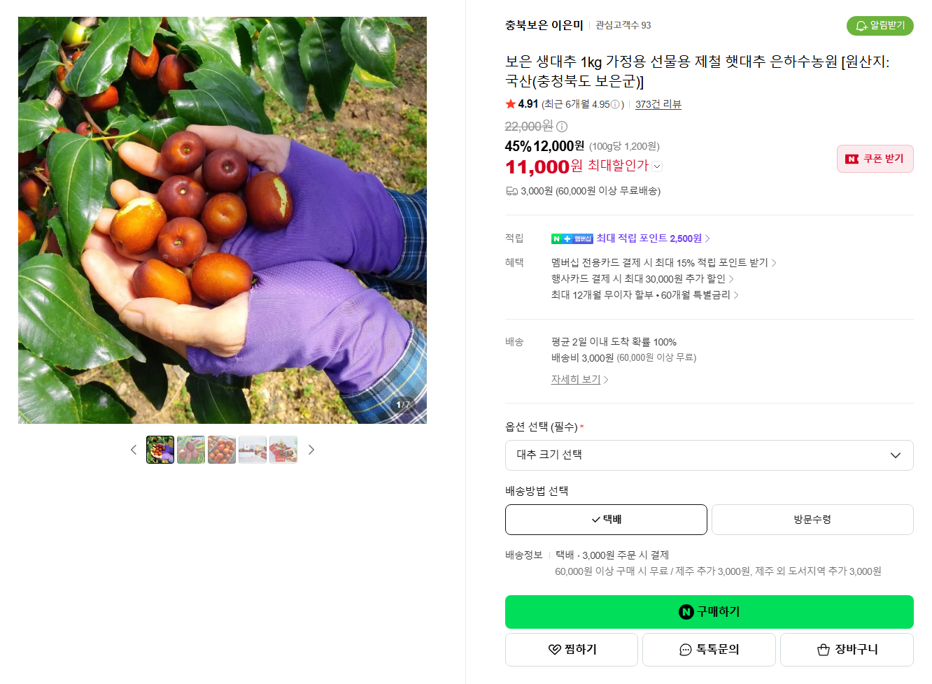[산지직송 : 충북보은 / 평점 4.91] 보은 생대추 1kg 가정용 선물용 제철 햇대추 은하수농원 [원산지:국산(충청북도 보은군)]
