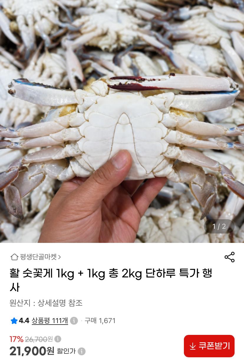 [지마켓] 활 숫꽃게 1kg+1kg 총 2kg (21,900원/무료)