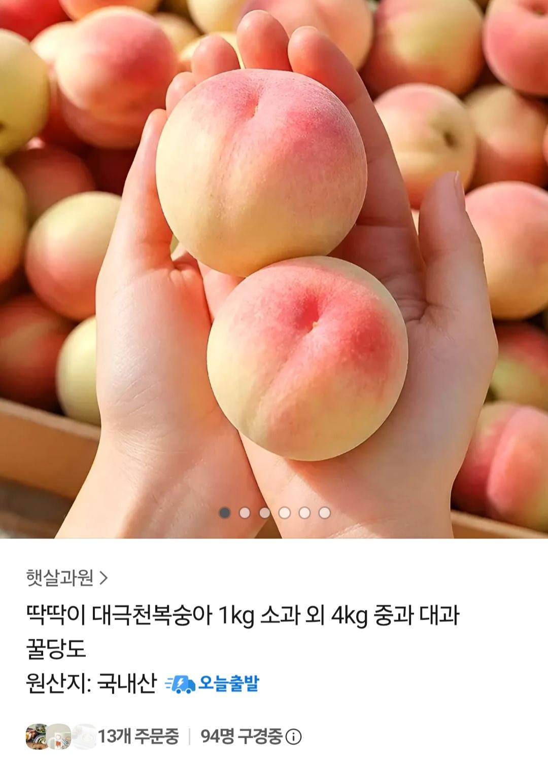 [카카오] 대극천 복숭아 1kg 소과 외 (9,790원 / 무배)
