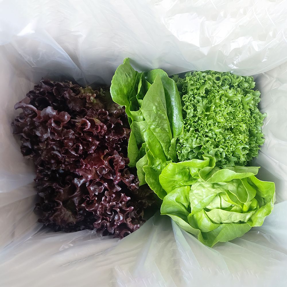 하루특가) 유러피안샐러드, 1kg, 1박스