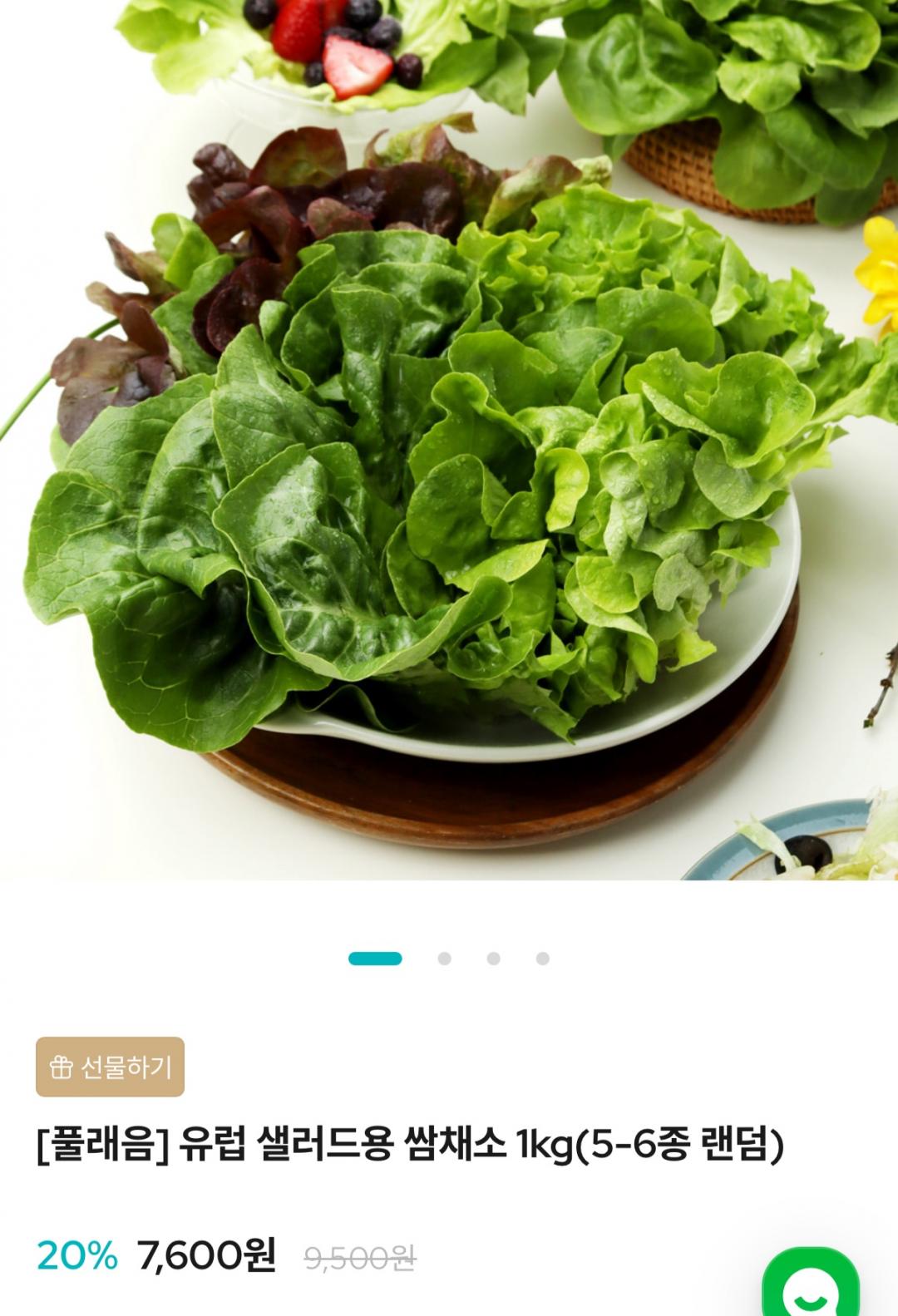 [온충북몰] 유럽 샐러드용 쌈채소1kg 5~6종 랜덤 (7,600원/무료)
