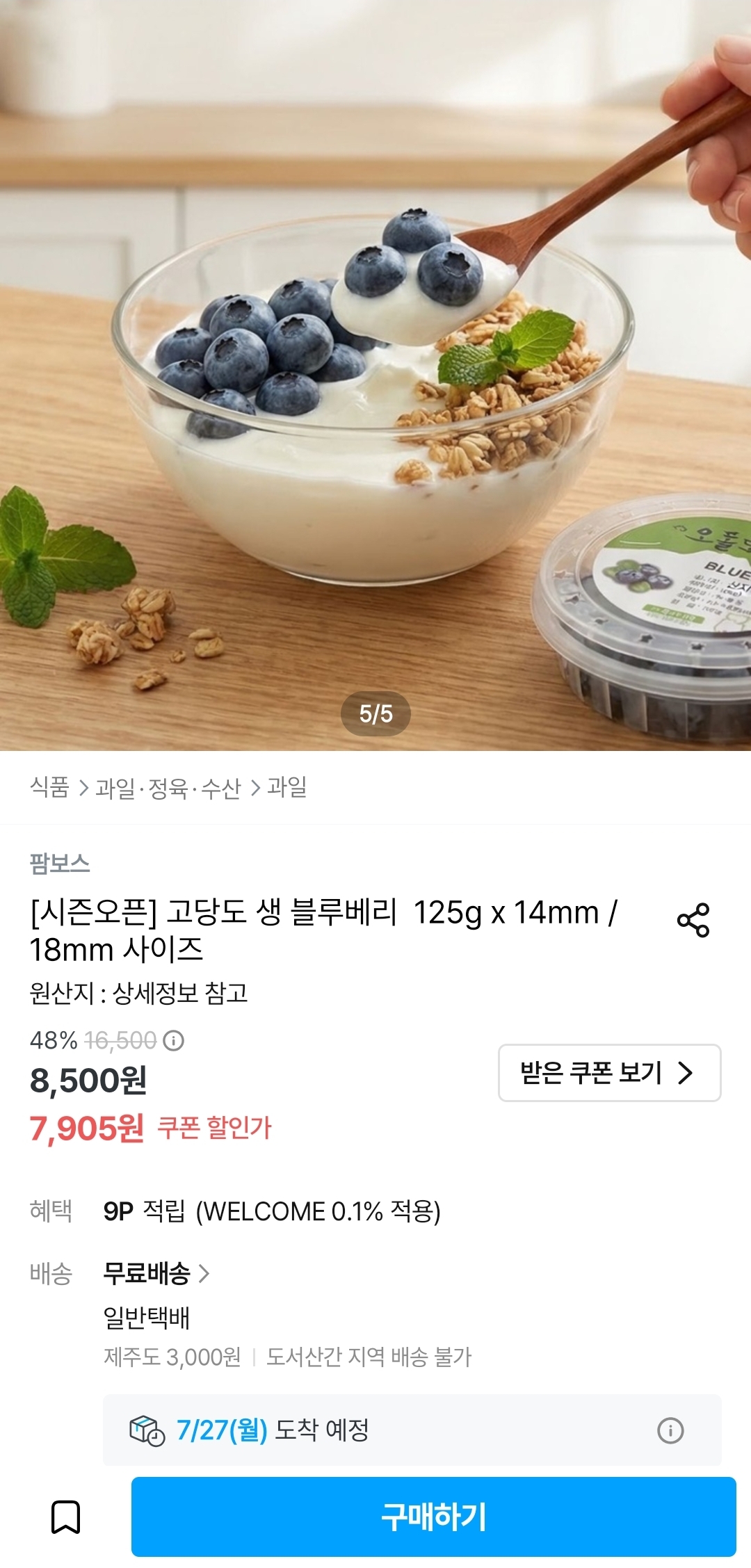 [오늘의집] 고당도 생 블루베리 125g 1팩 14mm (7,905원/무료)