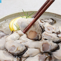 직접생산 산지직송 최상급 통영 석화 하프셀 굴 깐굴 생굴 1kg