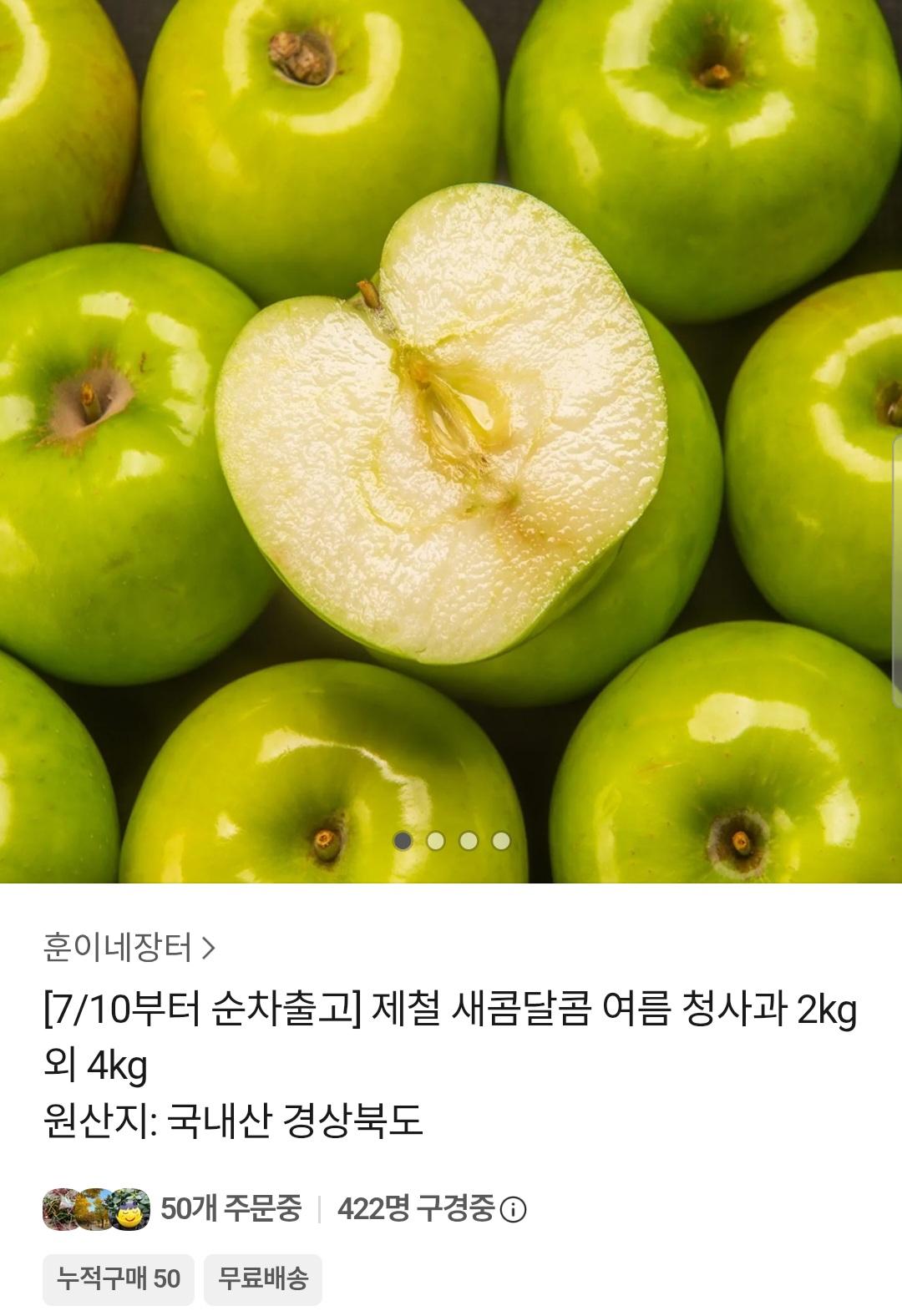 [카카오] 여름 제철 청사과 2kg 소과 (9,900원 / 무배)