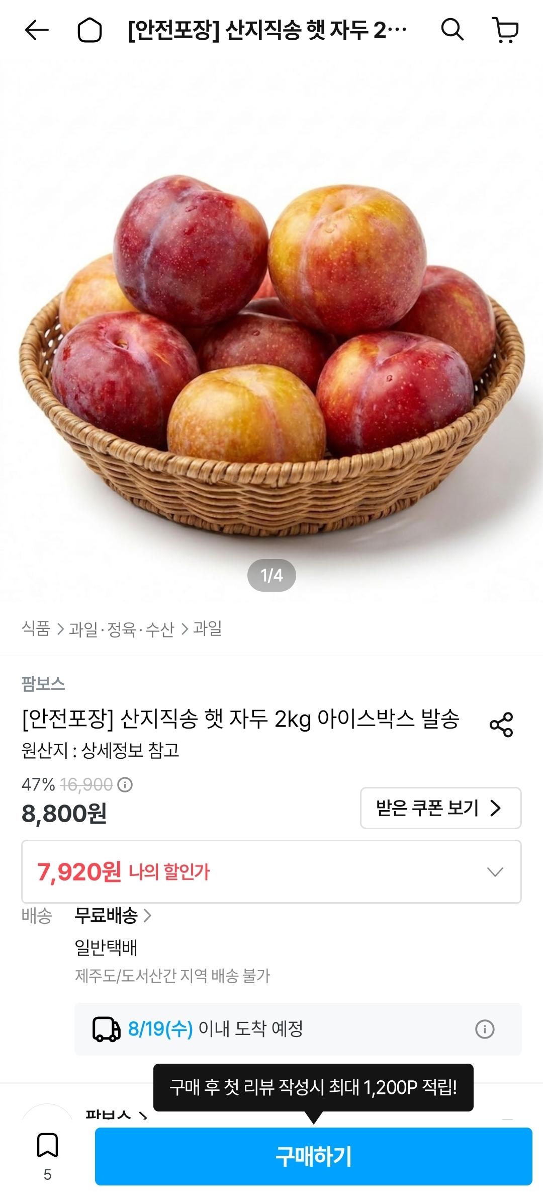 [오늘의집] 산지직송 햇 자두 2kg 아이스박스 발송 (7,920원~/무료)