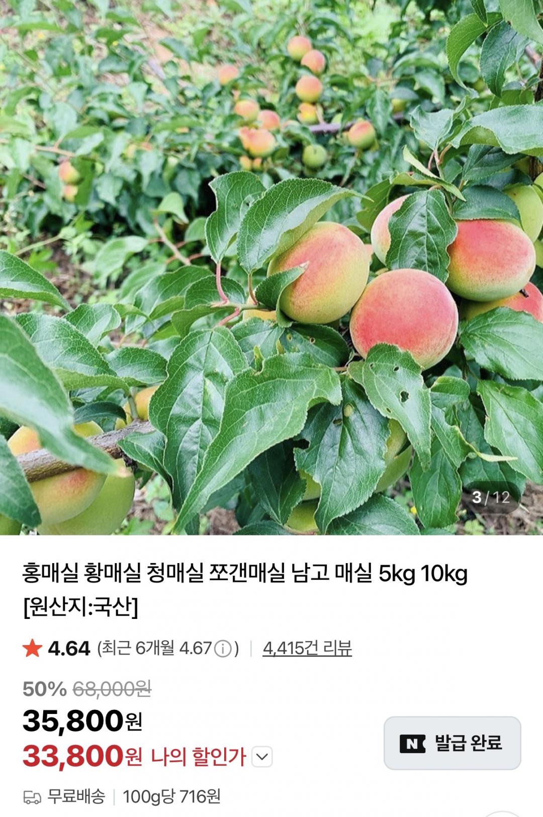 [네이버] 당일수확 홍매실 5kg (33,800원/무배)