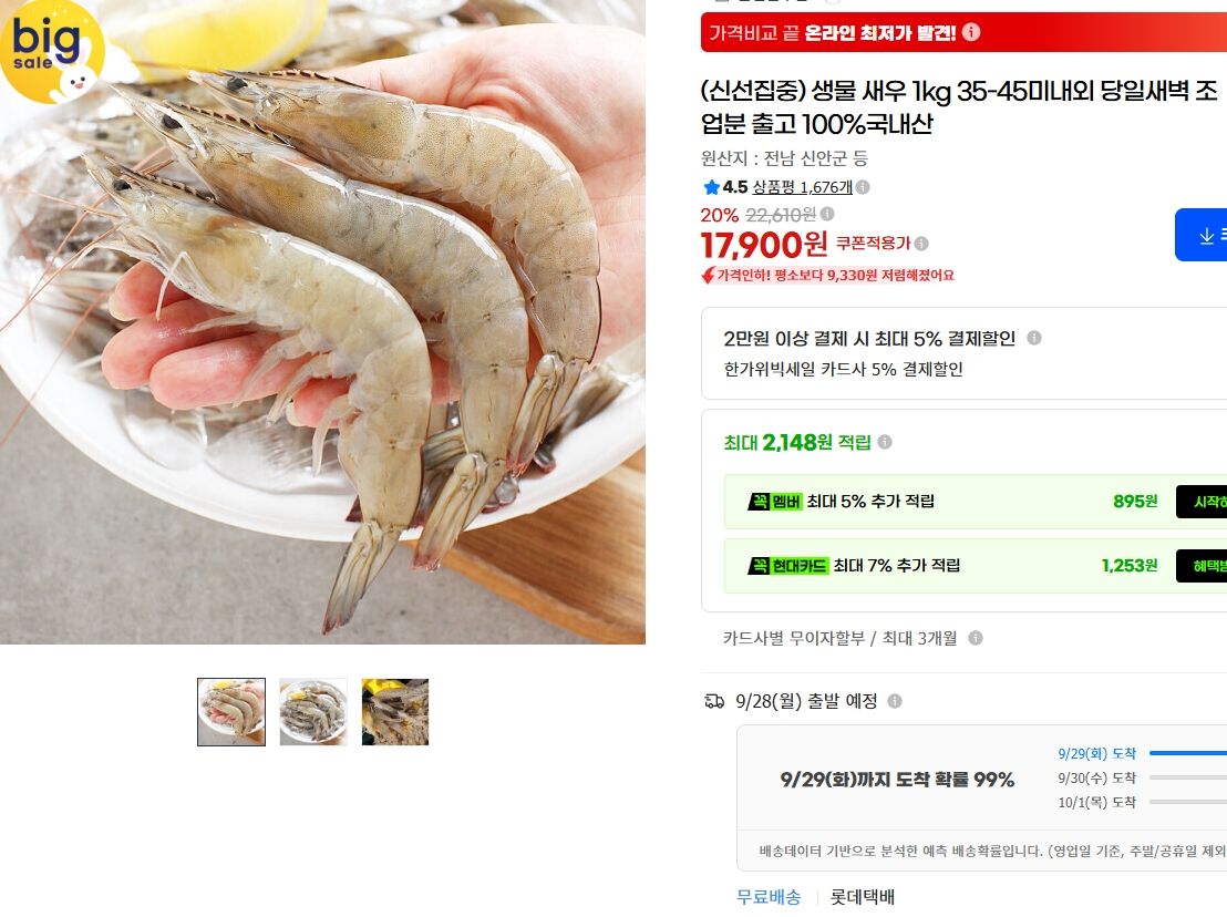 생물 새우 1kg 35-45미내외 당일새벽 조업분 출고 100% 국내산