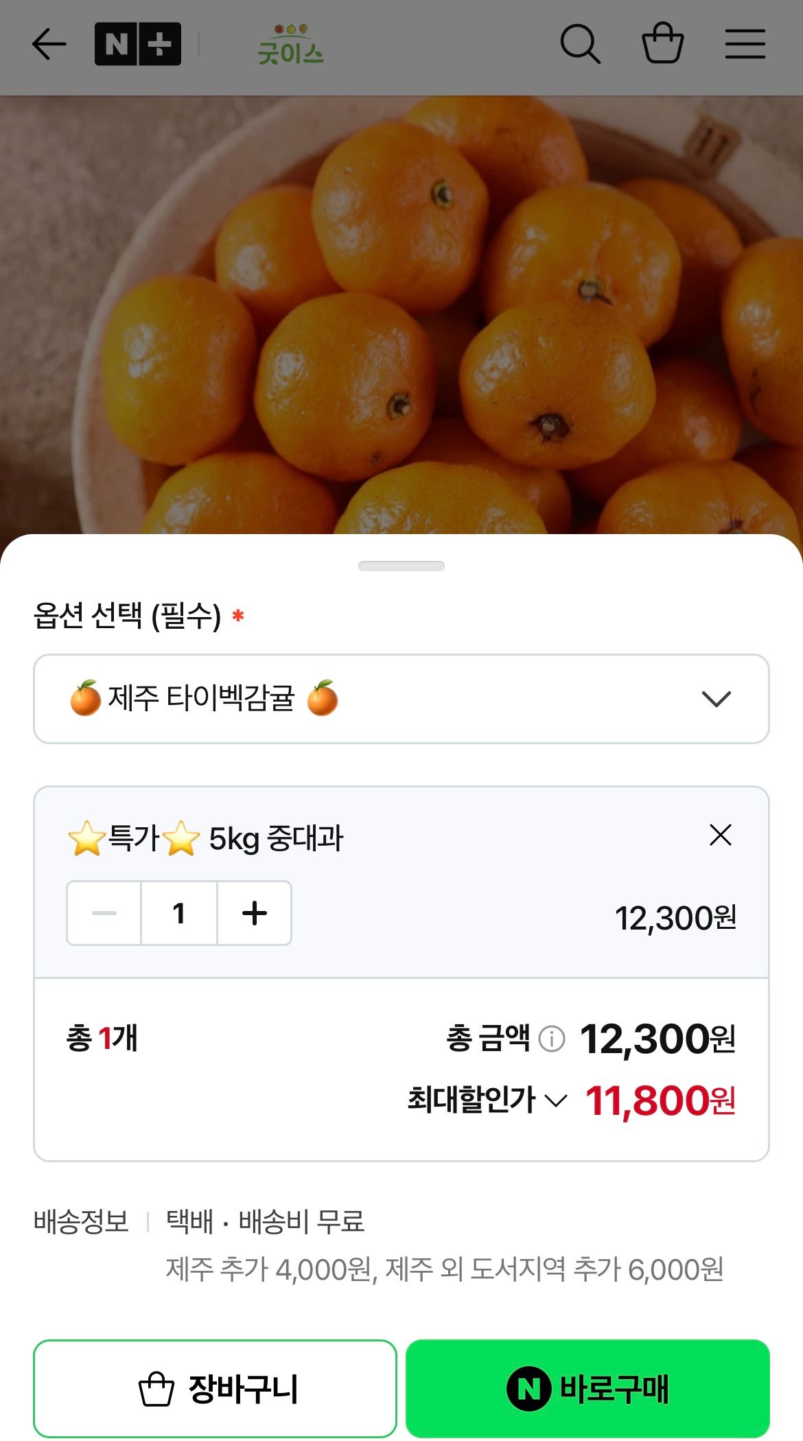 타이벡감귤 중대과 5kg
