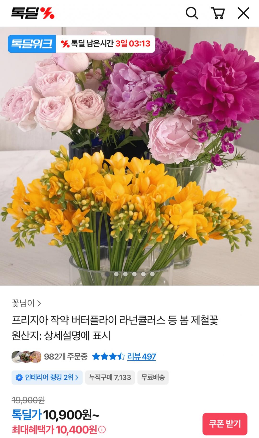 [카카오] 프리지아 30송이,작약반단 (9,900원/무료)