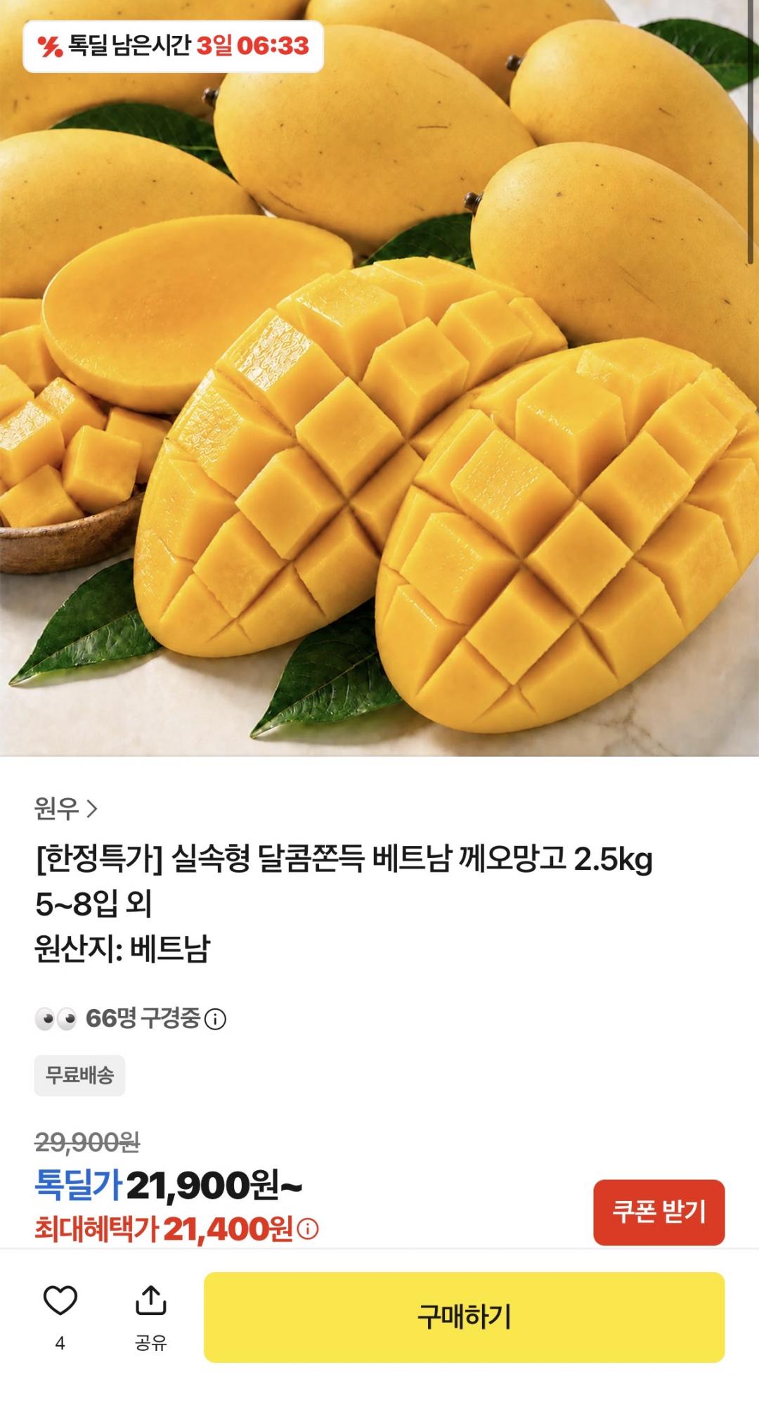 [카카오] 베트남 께오망고 2.5kg 5~8입 (21,900원/무료)