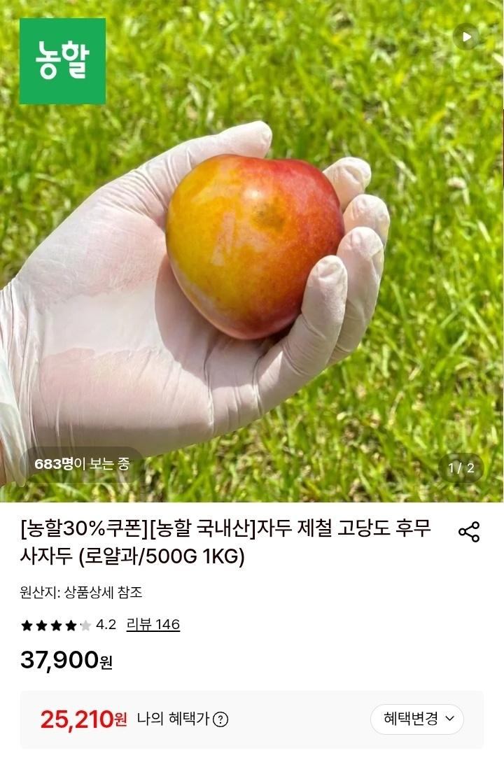 [롯데온] 후무사 자두 로얄과 2kg (26,320원/무료배송)