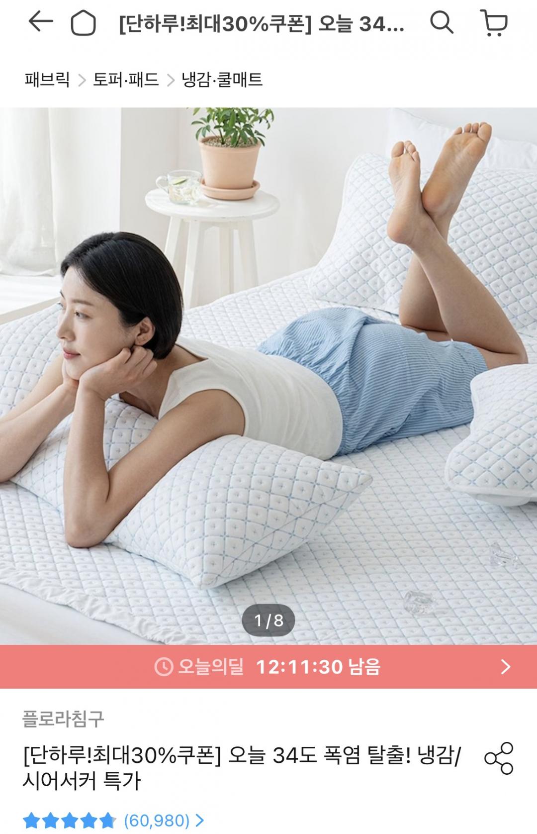 [오늘의집] 듀라론 고강도택 쿨링 블루다이아 냉감패드 6종 외 다양 (31,900원/무료)